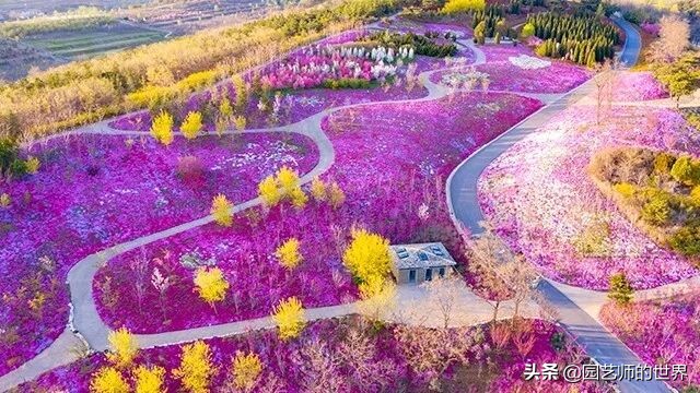 值得参观的国内优秀花园之品鉴（上篇）