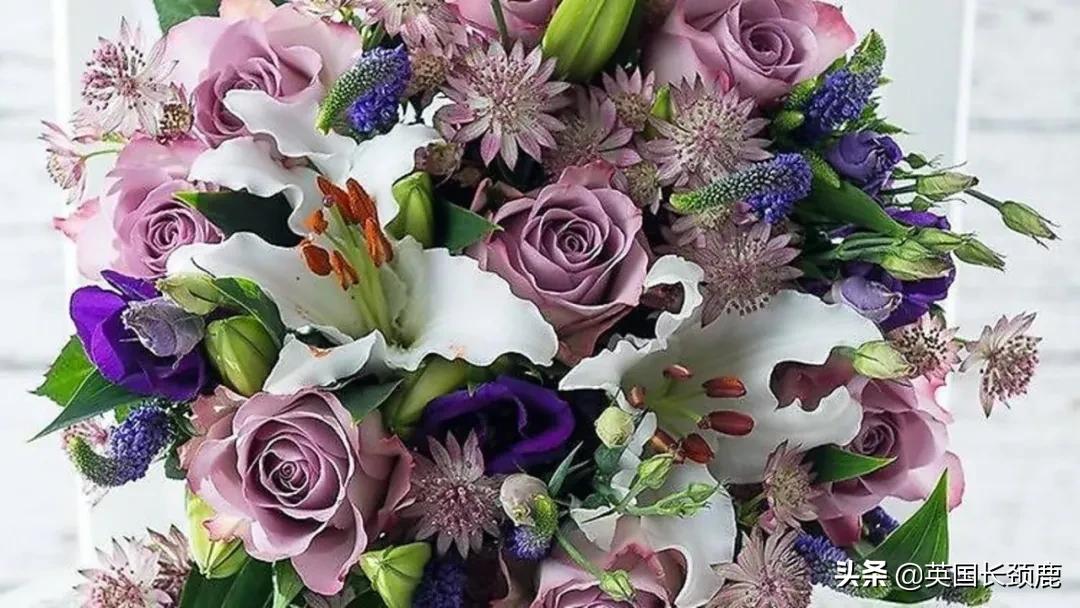 情人节来了怎么少的了fafa?英国鲜花速递服务大盘点:浪漫满分