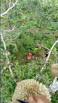 上厕所没有厕纸只能用绳子,上厕所没有卫生纸能用吗