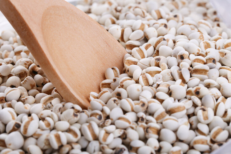 大米生虫子了长飞蛾了怎么办,大米有飞蛾虫怎么办