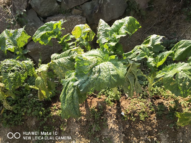从天津到厦门玩5天的攻略,北京到厦门五日游费用
