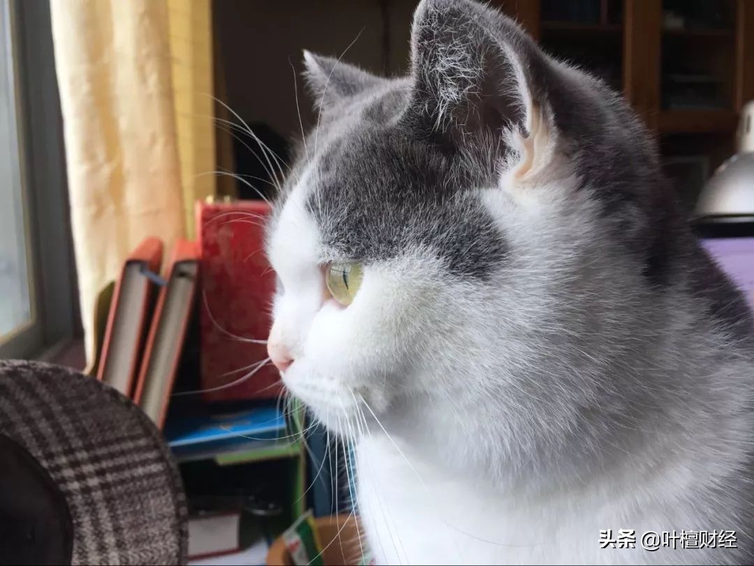 现在投资越来越难了,现在投资为什么容易失败