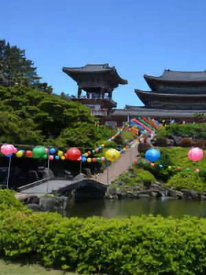 韩国弘大商圈旅游攻略,韩国首尔旅游攻略费用高