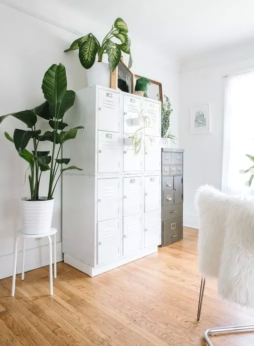 改造超过租房花费？美国年轻人的追求你不懂