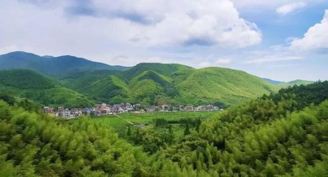 乡村振兴莫干山民宿,乡村文旅民宿打造