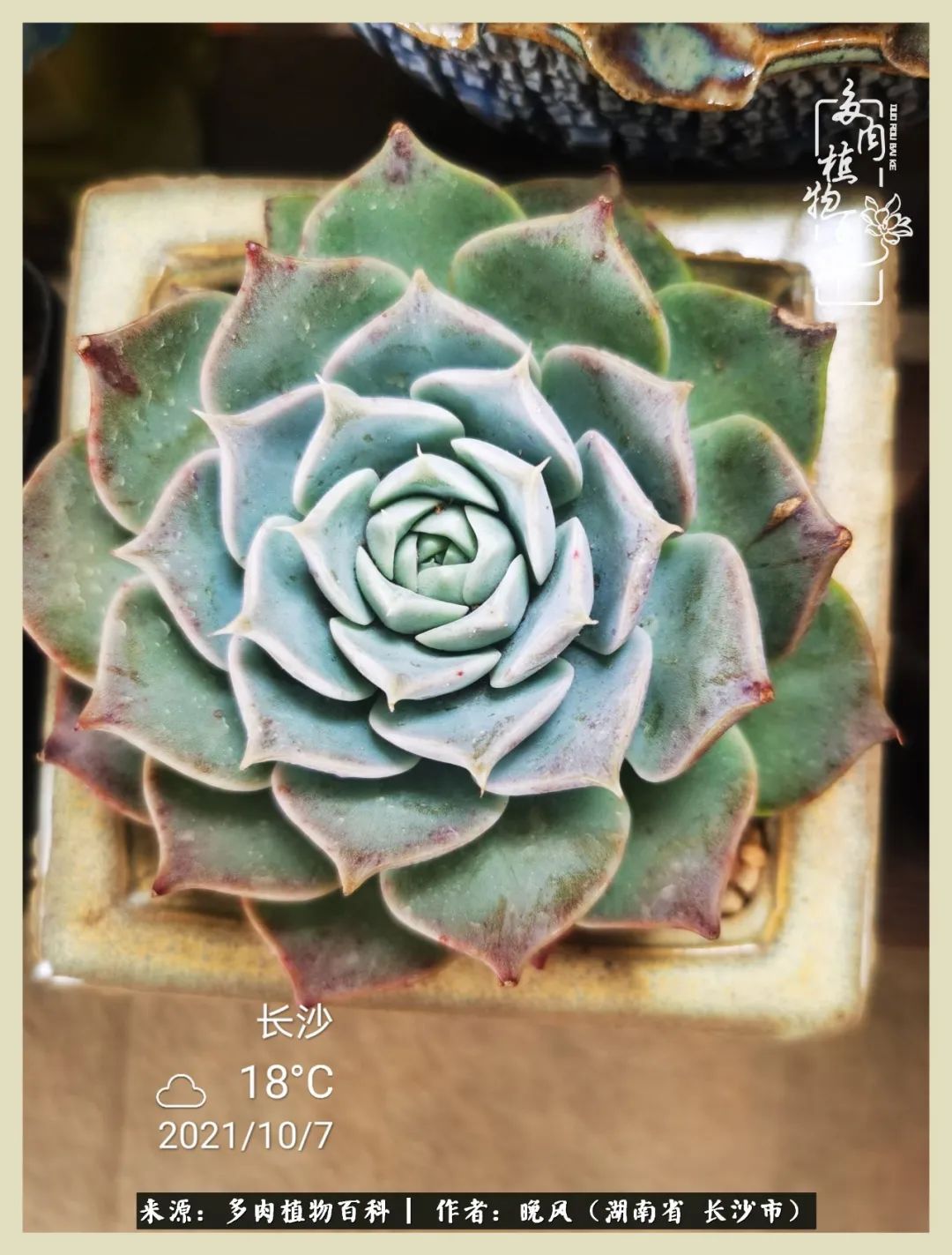 摇身一变成了奶爸,摇身一变成为打工人