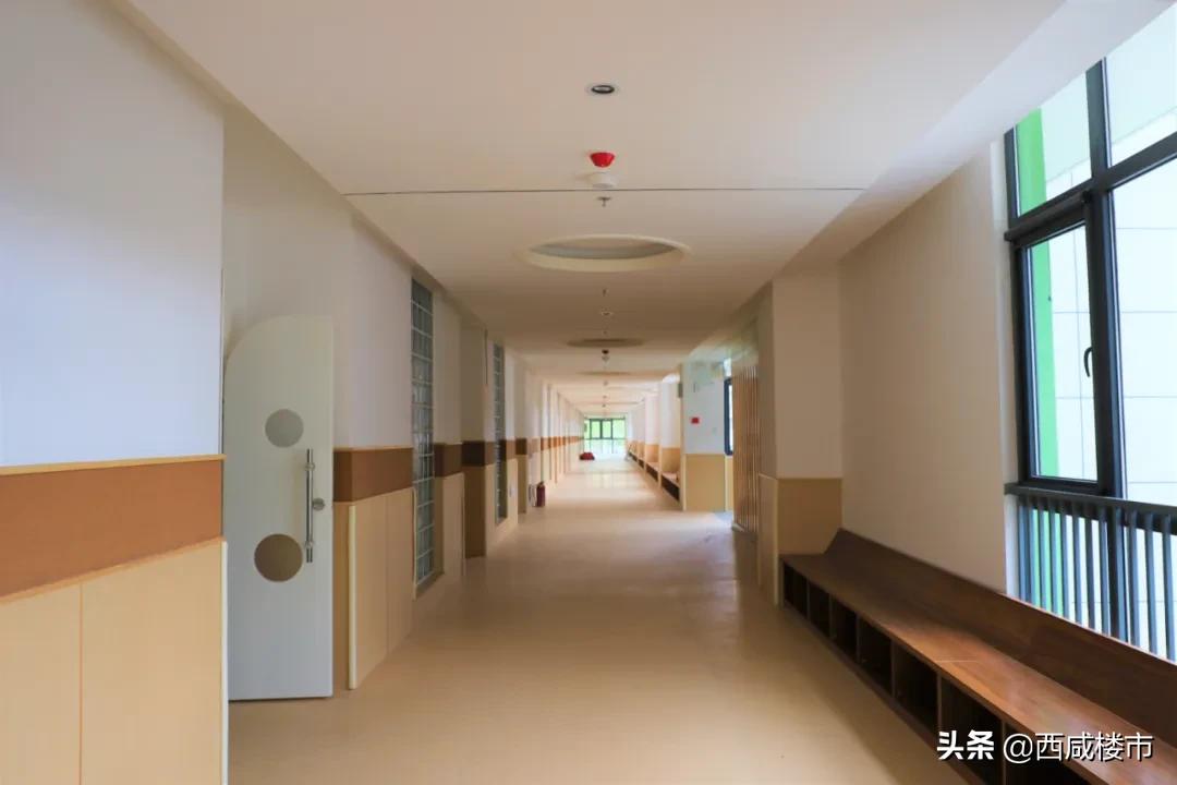 新增的231个学位是什么,5年内新增438万公办学位