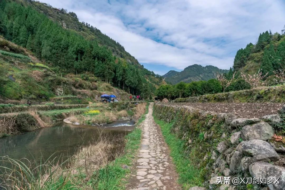 沪外游集：“华东香格里拉”-公盂村春季徒步