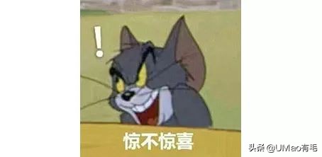 辟谣!猜杯子游戏,猫为什么总能选中有小球的那个?靠隐藏技能?