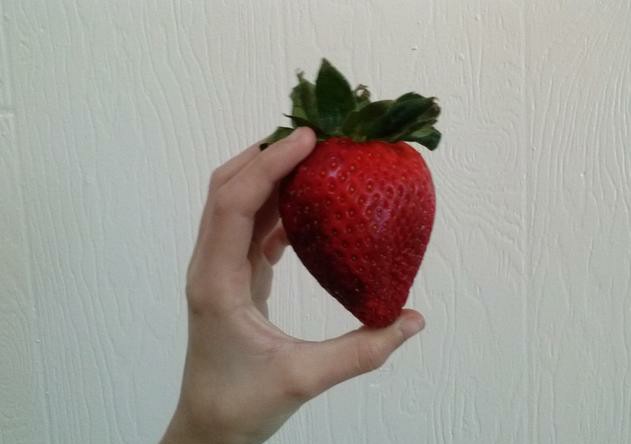 草莓叶子干了还是绿的,草莓叶子变黄是缺什么