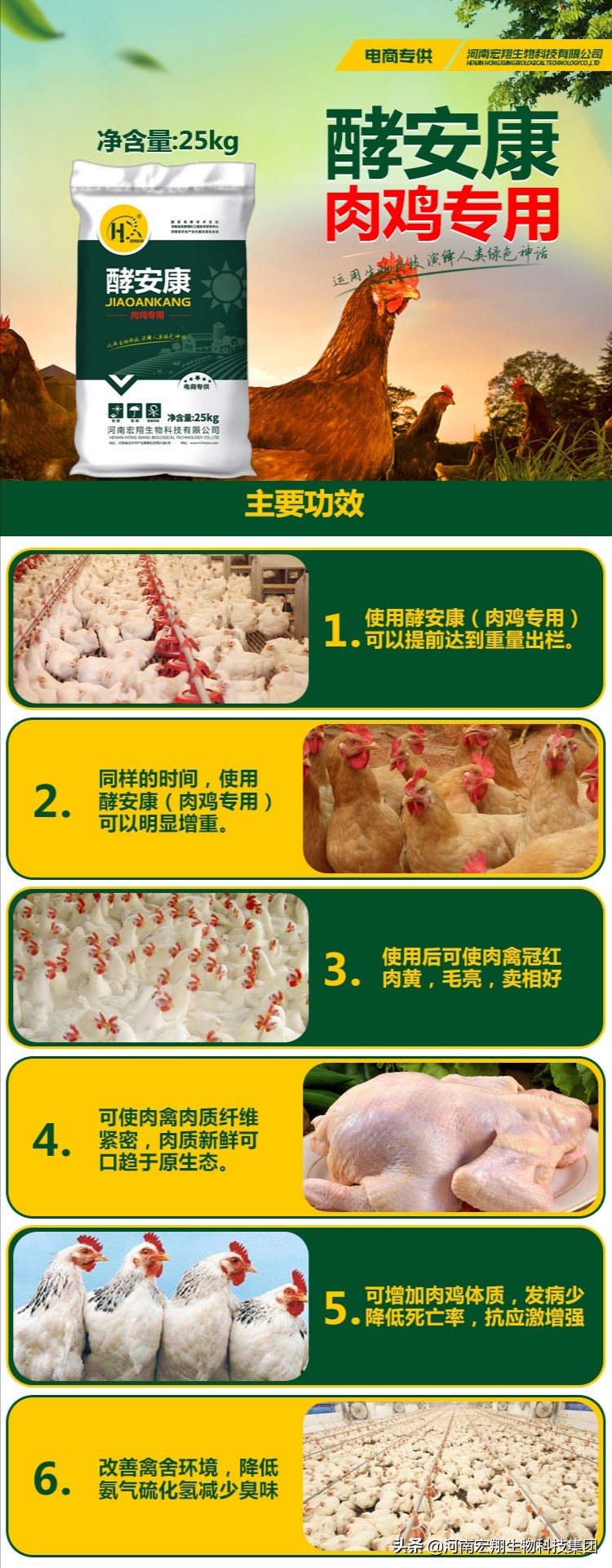 无抗保健养猪,无抗高效健康养殖