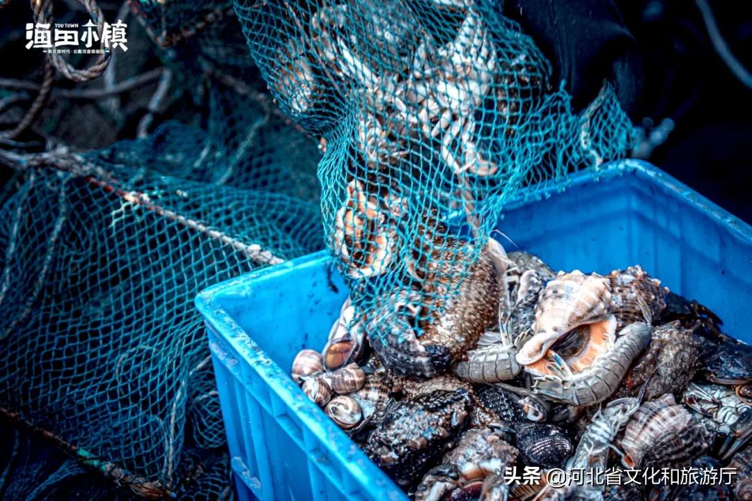秦皇岛三大度假区,秦皇岛滨海度假城