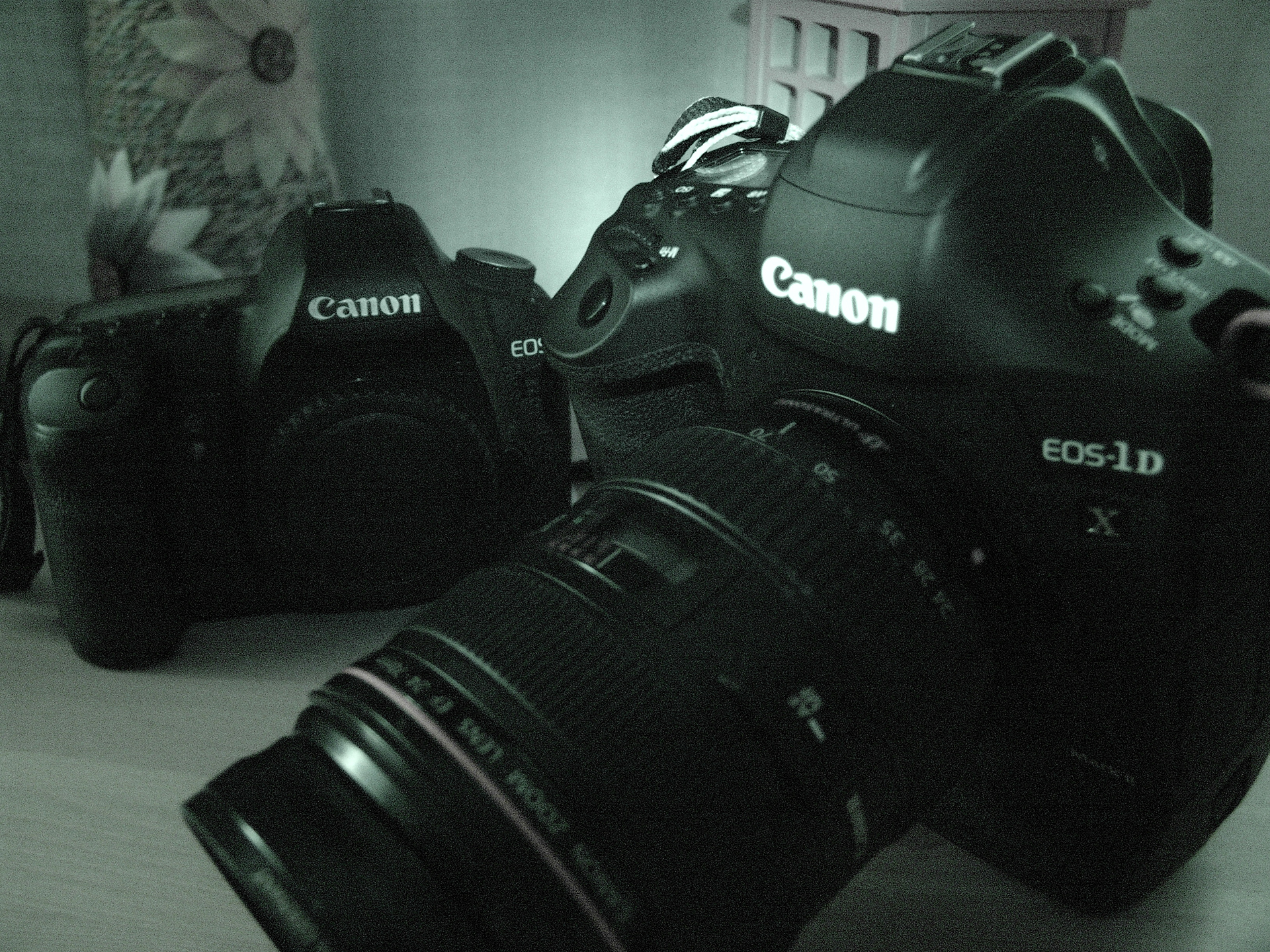 我的摄影学习回顾,索尼摄影黑科技