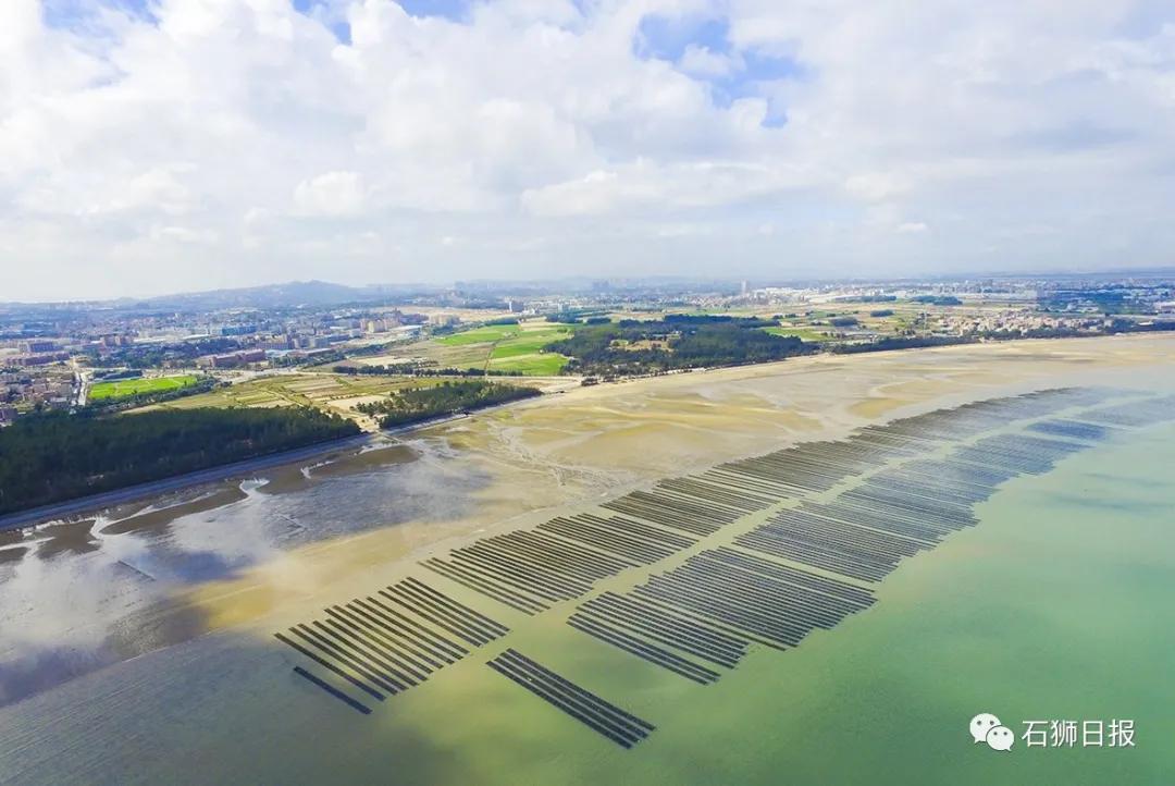 “耕海牧渔”2.0模式开启