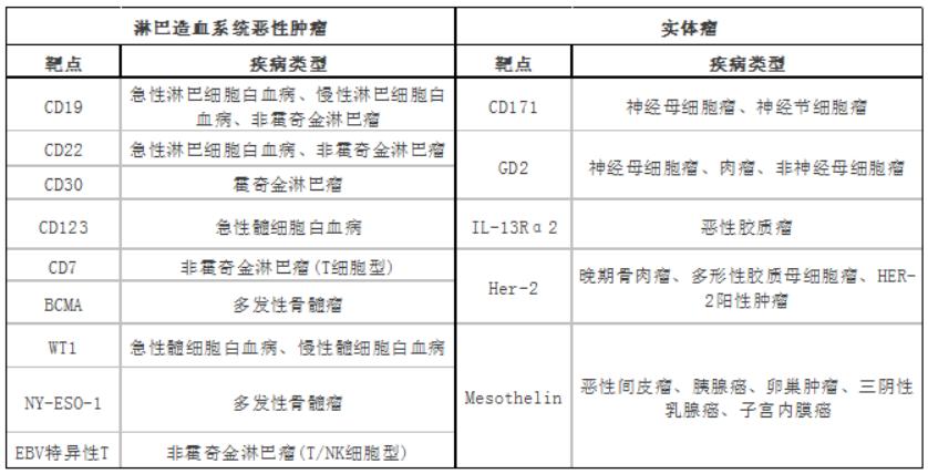 中国免疫细胞治疗成功案例,免疫治疗的现状及发展前景