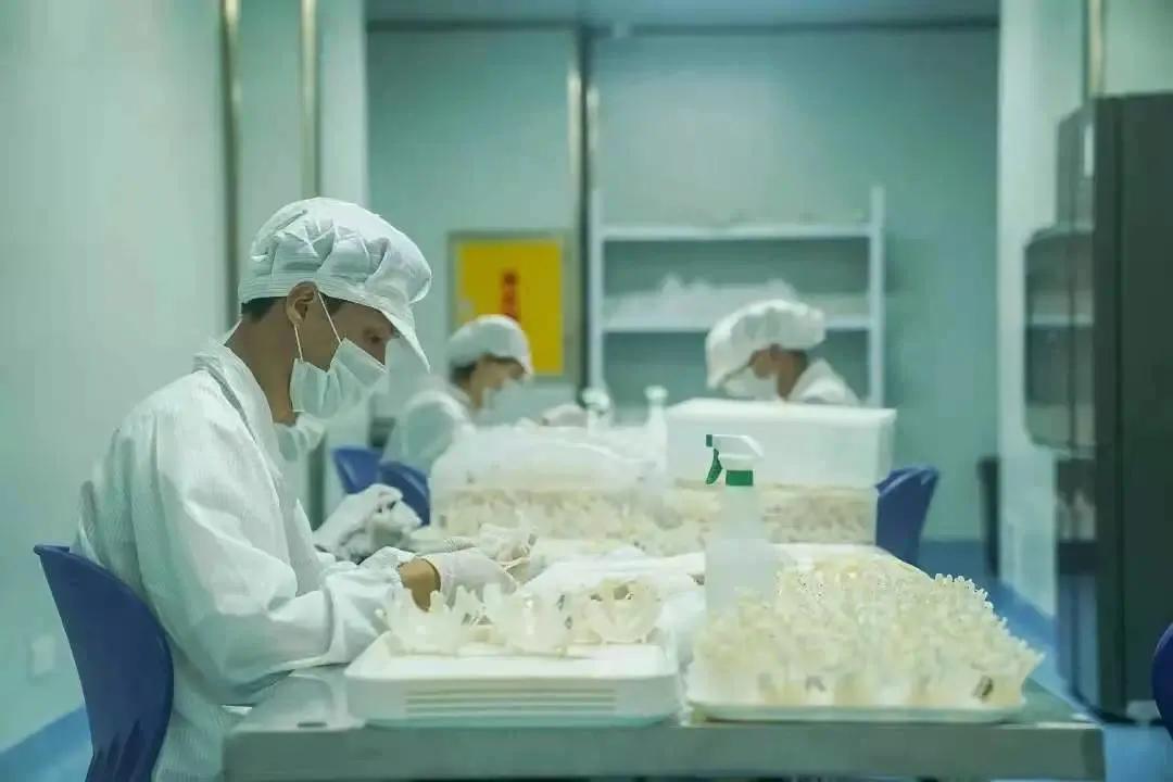 00后还要为燕窝交多少智商税