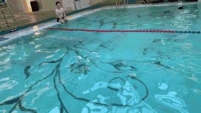 初学游泳有游泳圈,初学游泳浮起来了游不走