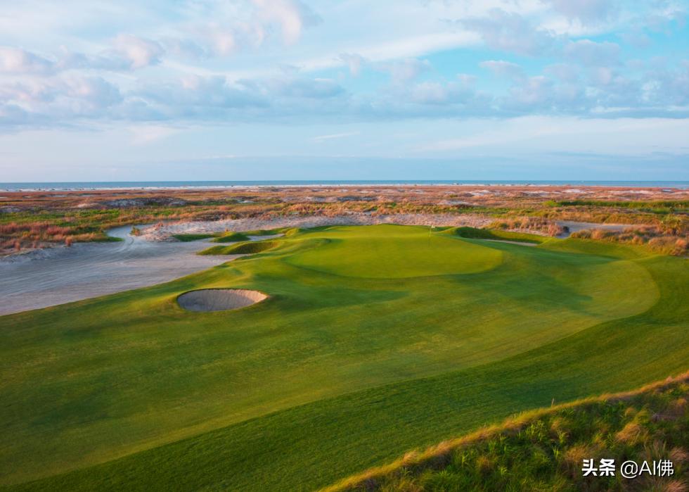 美国圆石滩高尔夫球场,美国高尔夫球场数量