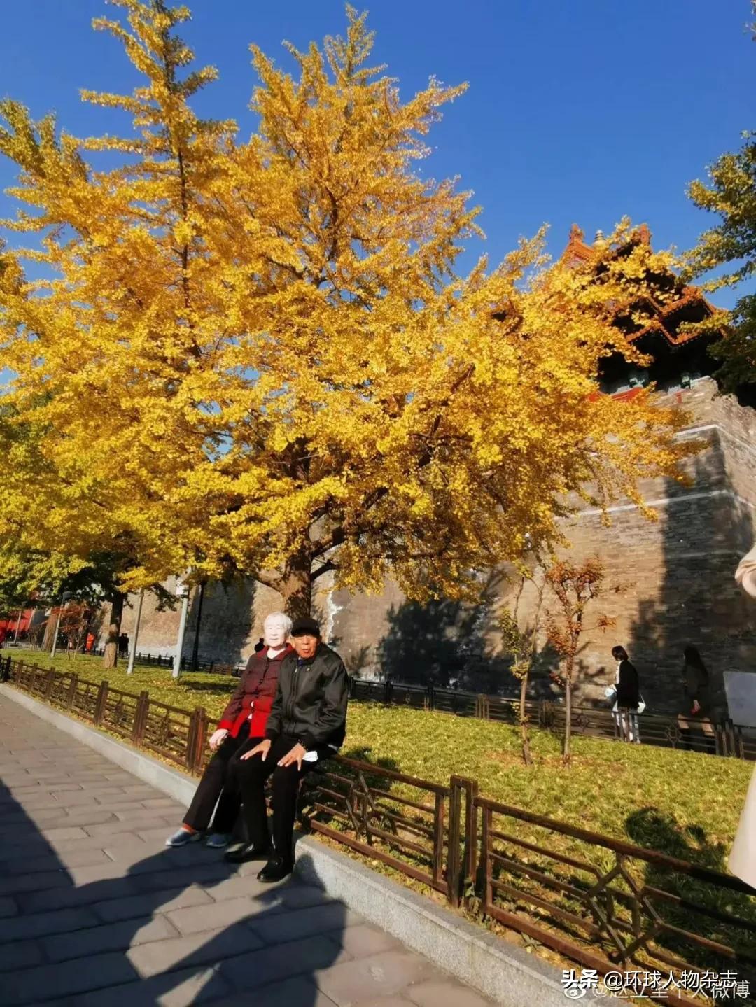 羊肉串、大盘鸡、馕坑烤肉……赵立坚要在微博上馋死“发小”