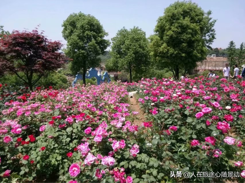 南京江宁乡村游有哪些景点,江宁清静小众景点