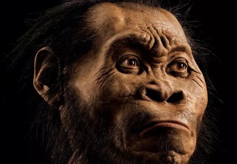 25万年前“牙齿”出土！人类的珍珠白，支持现代人起源非洲？