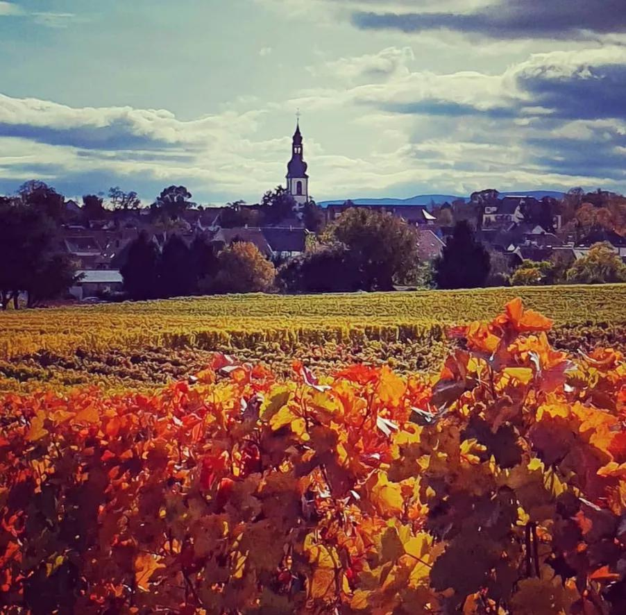 去德国旅游的n条实用经验,德国旅行攻略探索旅游的新奇之处