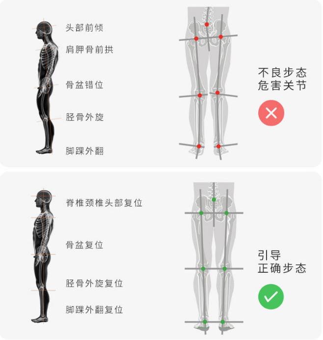 nba球星用的什么鞋垫,nba球星鞋垫有什么秘密