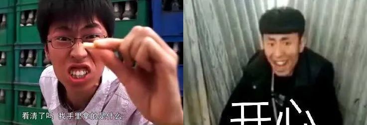 一场游戏一场梦:中国网红们的二十年