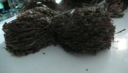 燕窝真假用什么方法鉴别,燕窝真假鉴别方法