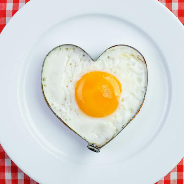 有机土鸡蛋养殖,什么是农村散养土鸡蛋