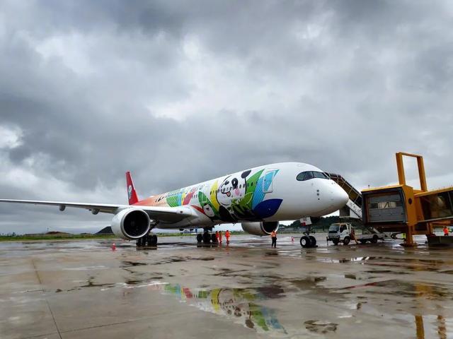 让人眼前一亮的手工作品,全球最新彩绘机