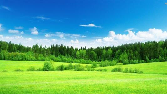 杜甫的五言律诗十首好背,杜甫最有名的十首诗春晓