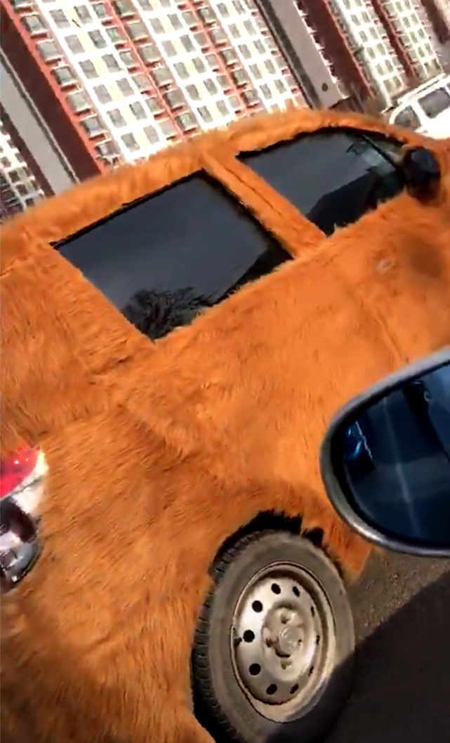 汽车都穿上皮草了，我们还有什么理由不努力？