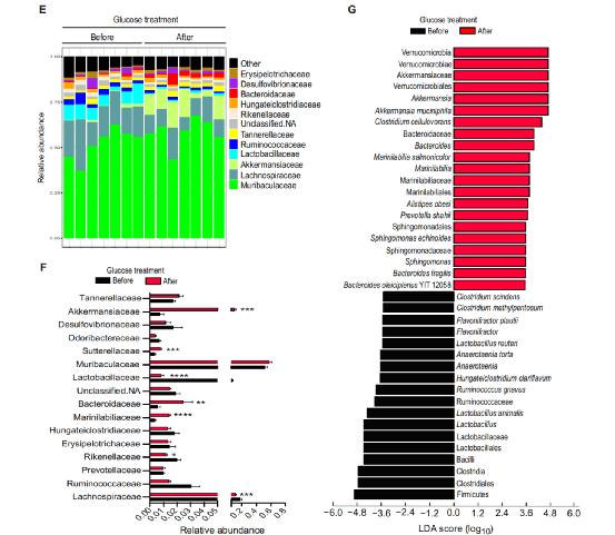 高血糖饮食会引起什么病,高糖对肠道有什么影响