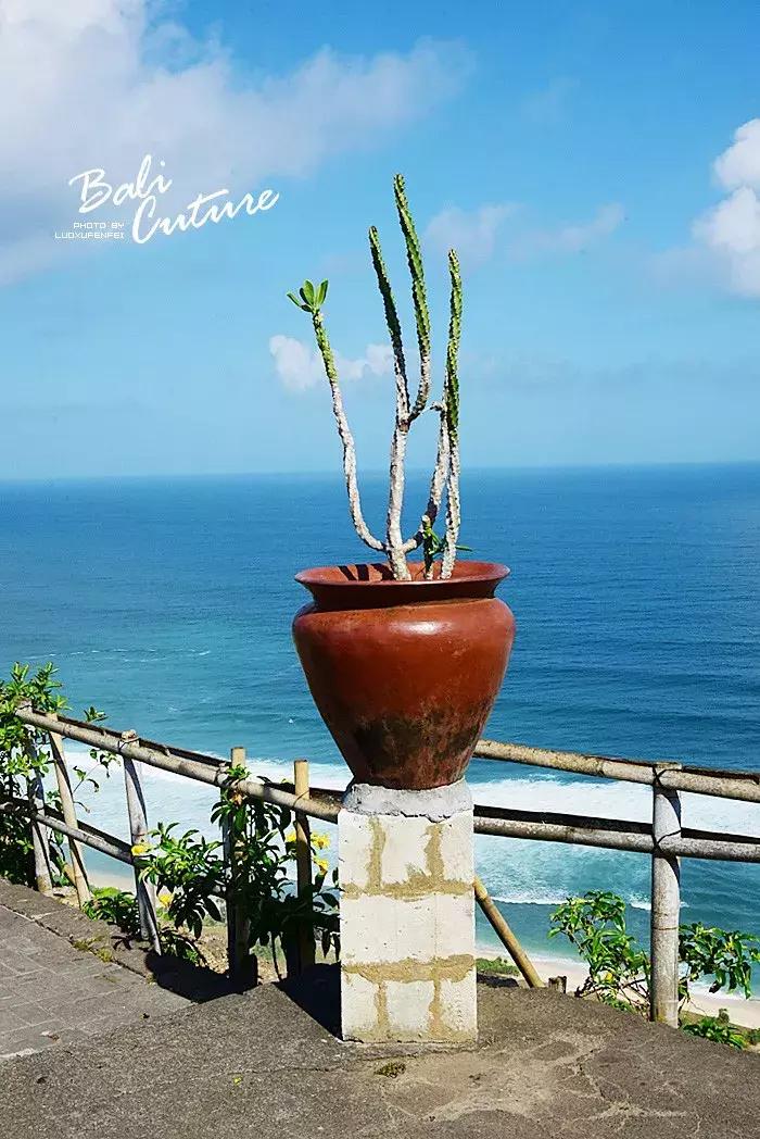 999玩转巴厘究竟嗨不嗨:香遇巴厘,南太平洋的风与海