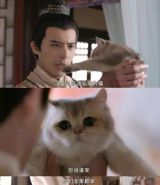 我在大理寺当宠物电影一口气看完,我在大理寺当宠物一口气看完