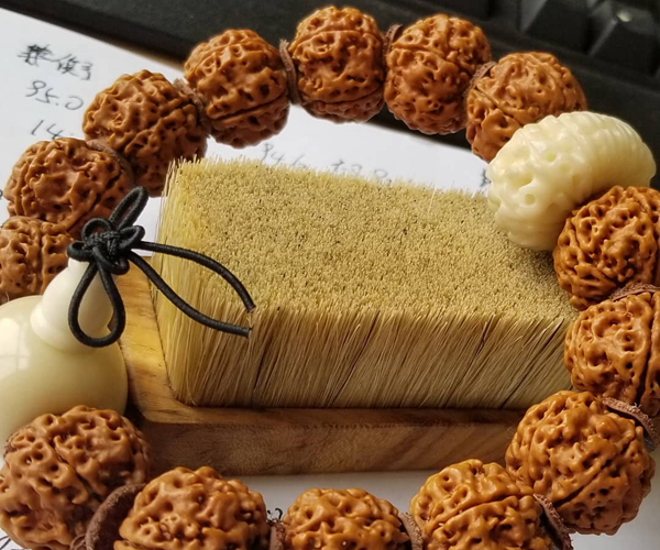 金刚菩提原籽怎么辨别,金刚菩提怎么辨别是不是塑料