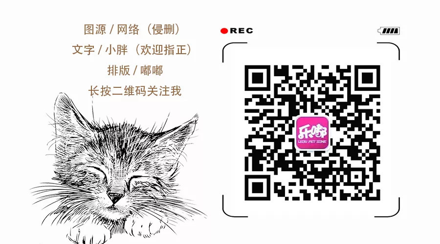 猫主子的铲屎官们请注意，把药箱丰富起来很有必要