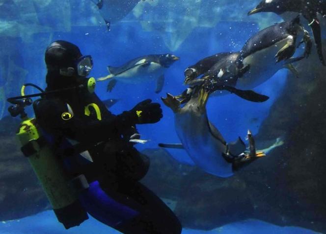 大连滨海路几月最美,大连最美季节
