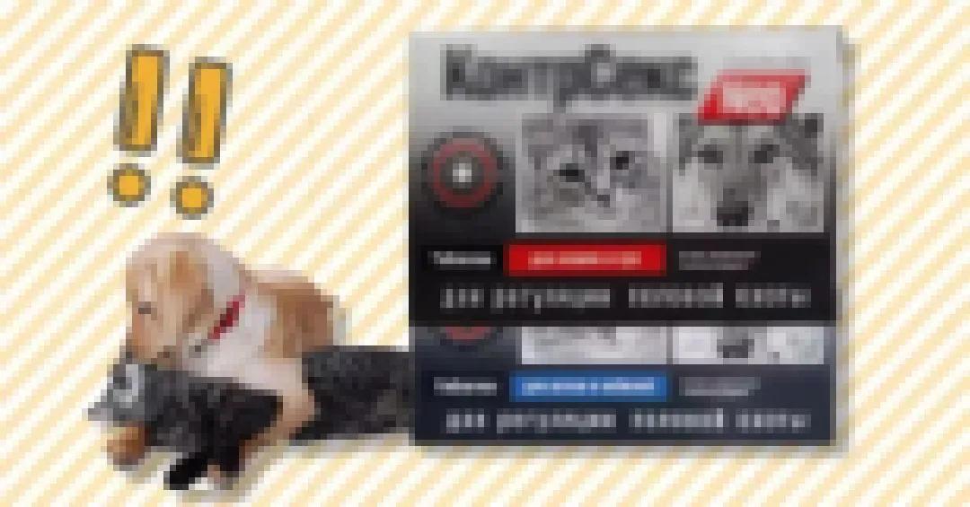 宠物可以用的避孕药,宠物紧急避孕药有用吗