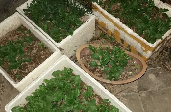 顶楼跟顶楼到底买哪个好,买顶楼房子有什么优缺点