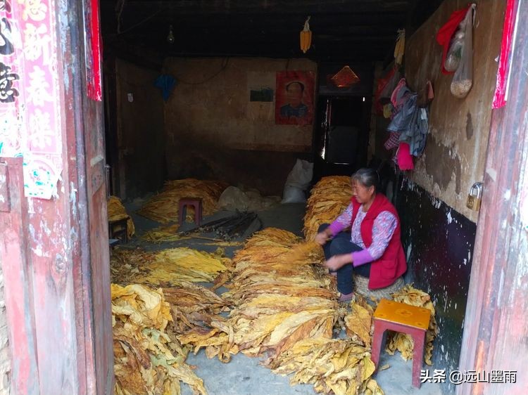 昆明走进大自然放松心情,昆明走进自然户外公益徒步