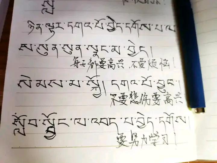 大学生去西藏支教的真实感受,真实的藏区支教