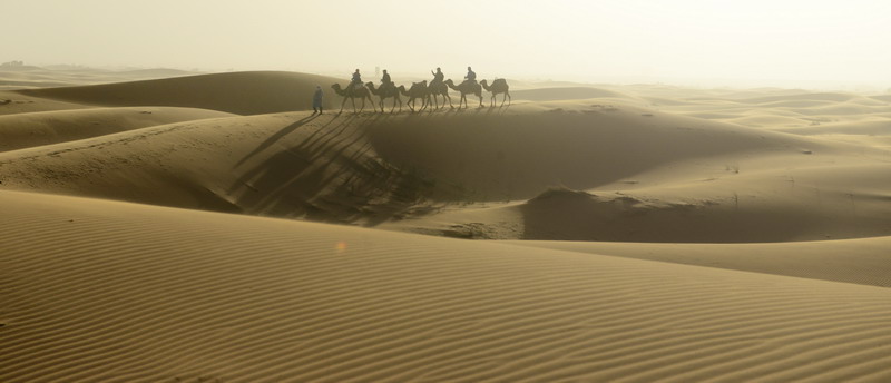 撒哈拉沙尘暴照片,撒哈拉沙漠沙尘暴实拍