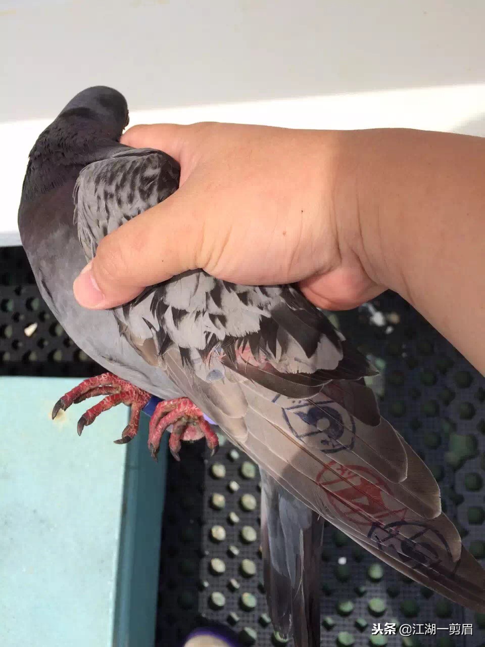 《海的女儿》故事,海的女儿故事简介150个字