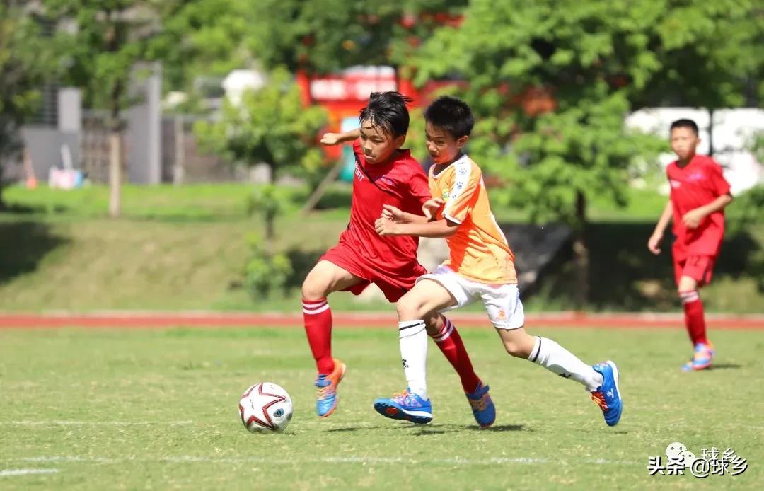 区中小学足球联赛,体教融合杯中学篮球赛