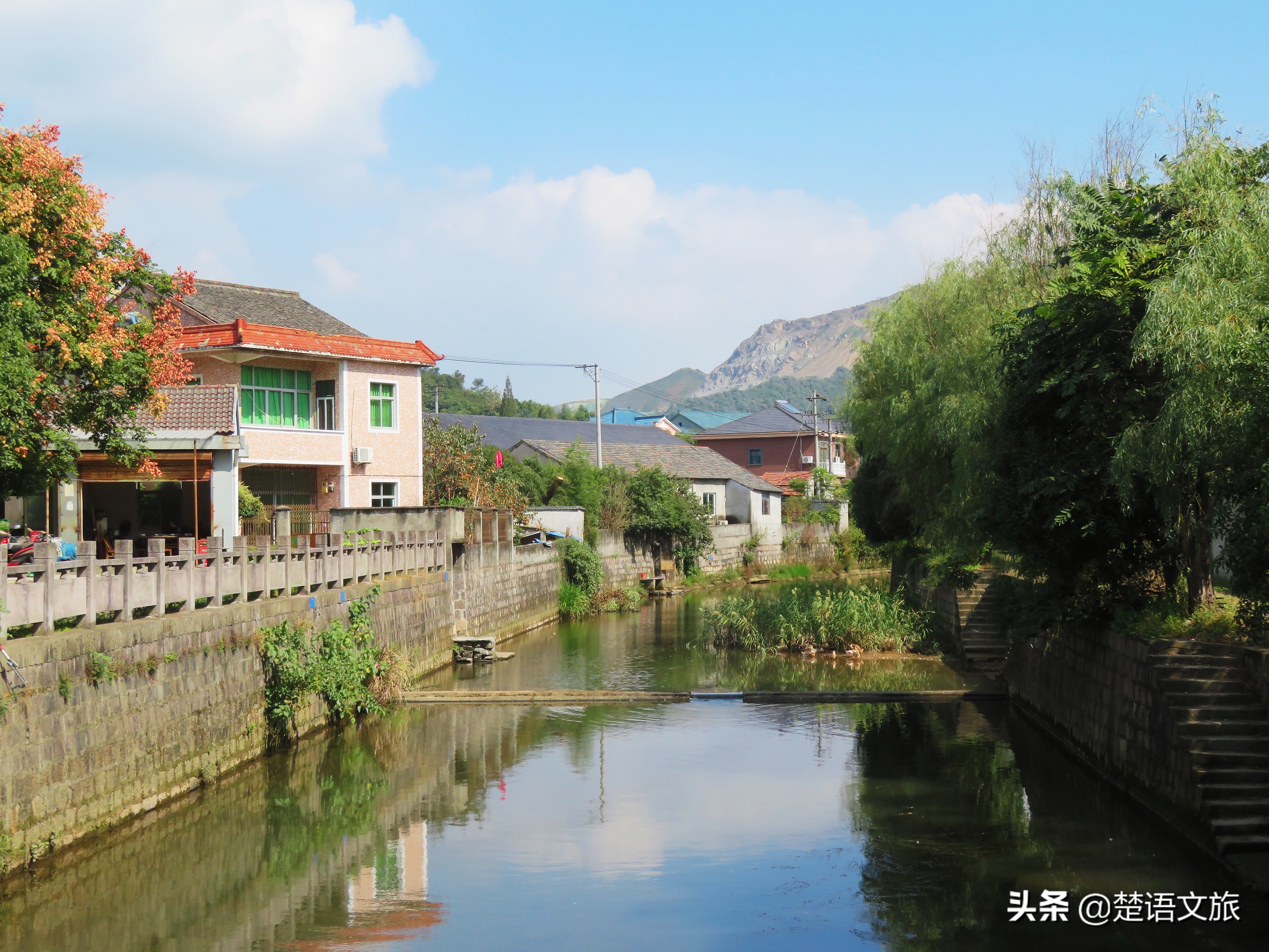 盛产杨梅而闻名的县是哪里,杨梅之乡余姚在什么省