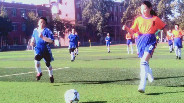 山东校园足球建设,省政府表扬山东泰山足球队