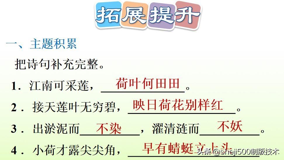 部编版三年级下册语文3荷花讲解,三年级下册部编语文荷花教学视频