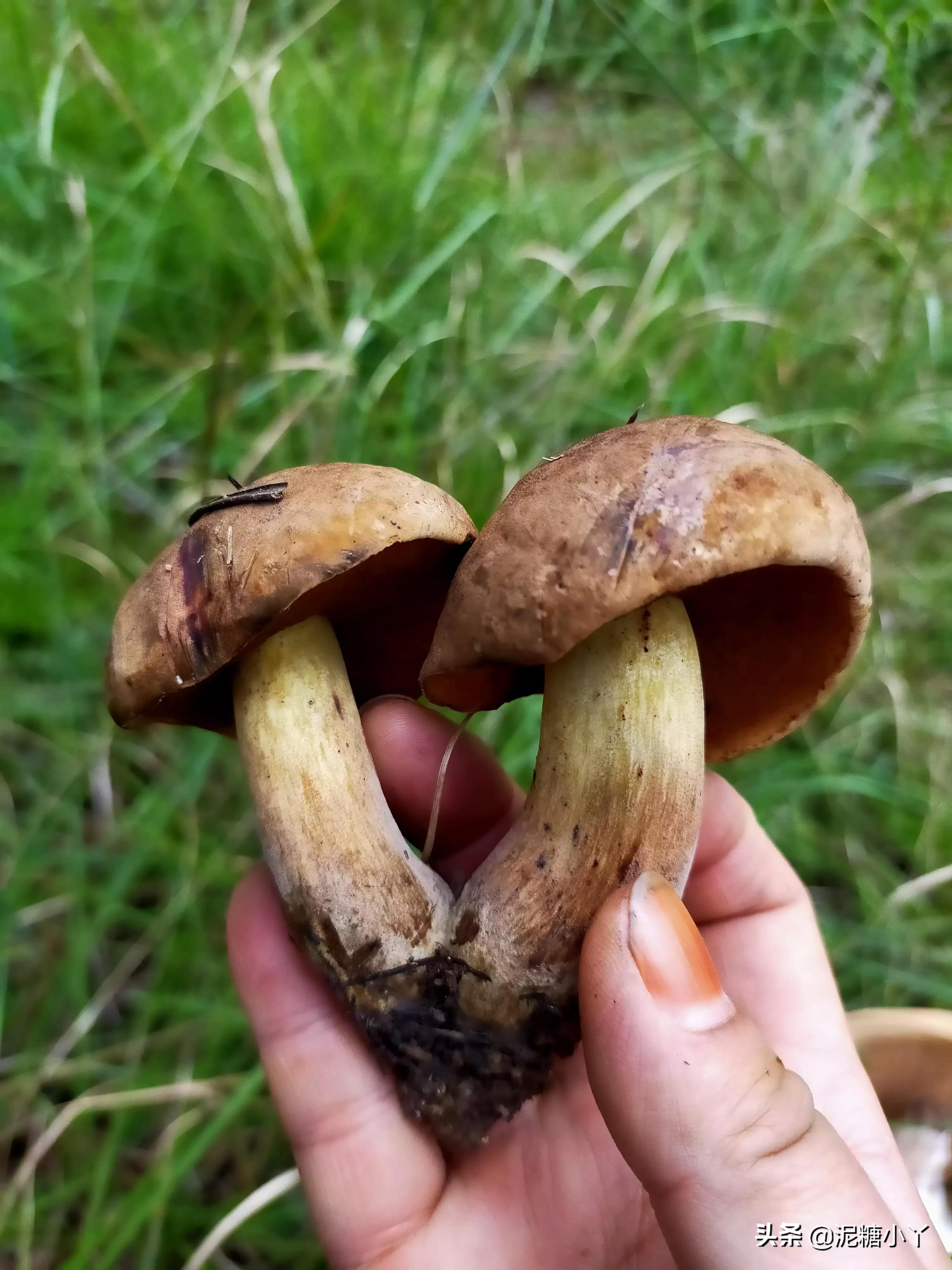 在农村没工作干什么可以赚钱,农民不去打工怎么赚钱